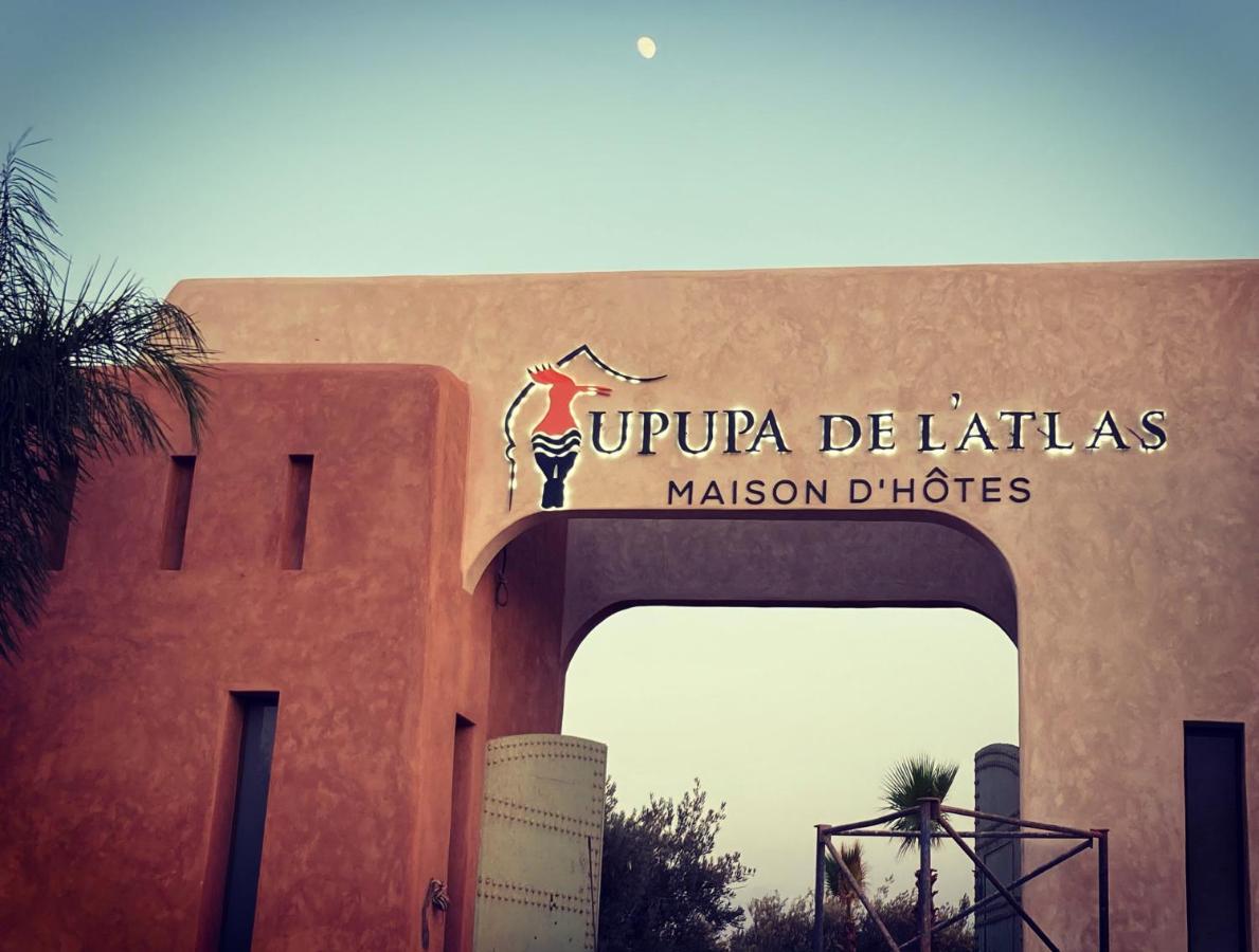 Upupa De L'Atlas Ouled el guerne Exteriör bild