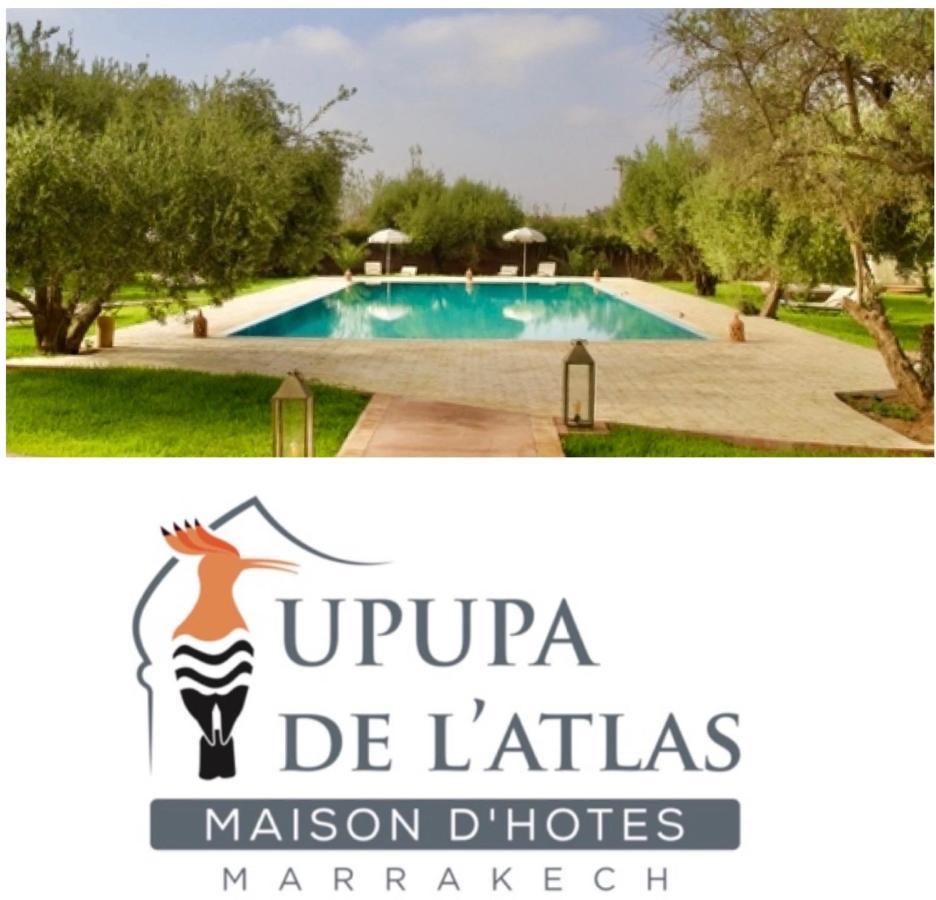 Upupa De L'Atlas Ouled el guerne Exteriör bild
