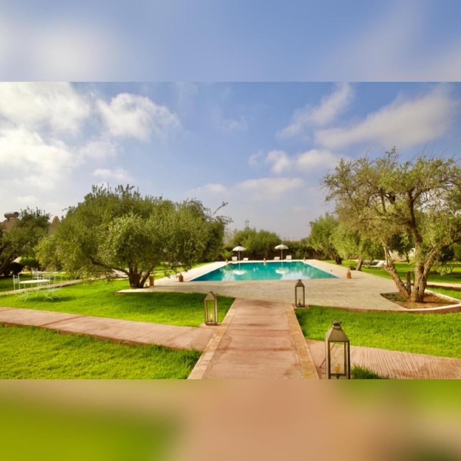 Upupa De L'Atlas Ouled el guerne Exteriör bild