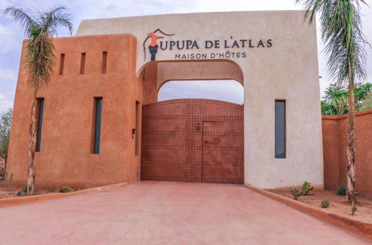 Upupa De L'Atlas Ouled el guerne Exteriör bild